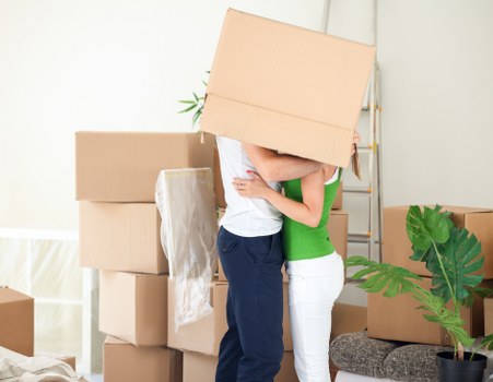 Wardrobe cartons and protective packing materials for local removals