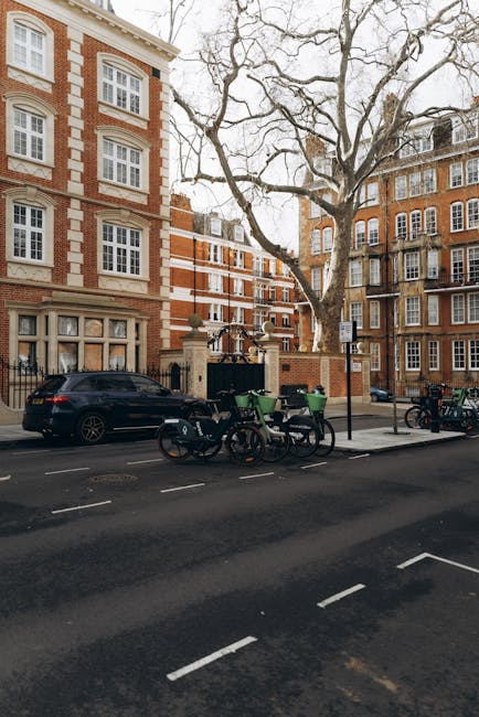 The image depicts the exterior of a multi-storey residential building on a street in Marylebone, featuring a large leafless tree in the foreground and a row of bicycles and green refuse bins on the pavement. A black car is parked parallel along the curb, and a small loading area is visible near the building entrance, where a team of movers from Removals Marylebone are engaged in a home relocation process. The movers are seen handling large cardboard boxes, furniture wrapped in protective blankets, and packing materials, preparing for loading into a van parked nearby. The scene is lit with natural daylight, capturing the busy logistics involved in furniture transport and packing during a house move in the Marylebone area, with the building’s brick façade and classic architectural details providing a typical backdrop for a professional moving service.